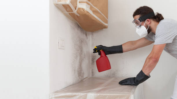 Professional Commercial Mold Remediation technician working in Yale, MI