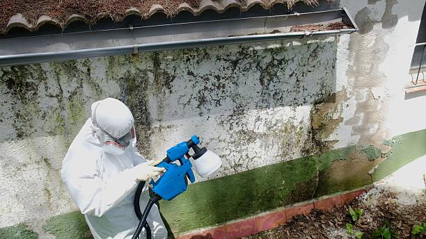 Top rated local Commercial Mold Remediation specialists in Yale, MI